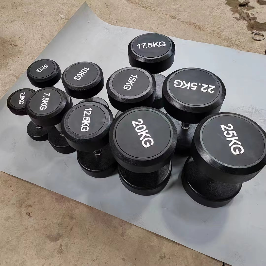 The Hot Selling 2.5Kg to 30Kg Rubber Covered round Dumbbells for Body Building