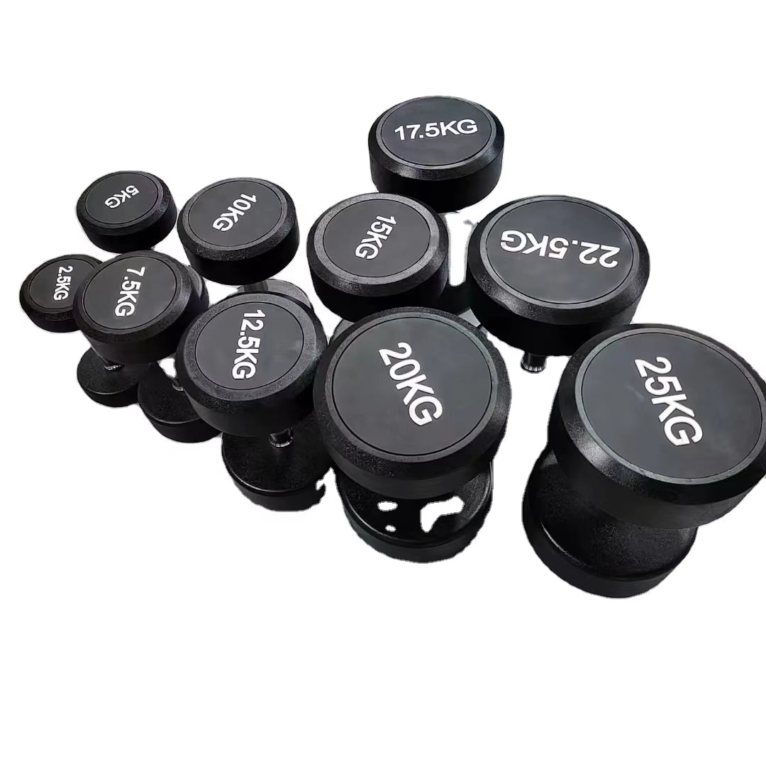 The Hot Selling 2.5Kg to 30Kg Rubber Covered round Dumbbells for Body Building