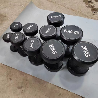 The Hot Selling 2.5Kg to 30Kg Rubber Covered round Dumbbells for Body Building