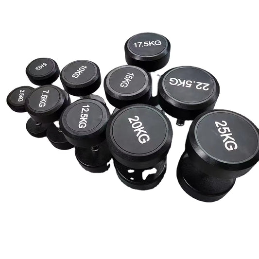 The Hot Selling 2.5Kg to 30Kg Rubber Covered round Dumbbells for Body Building